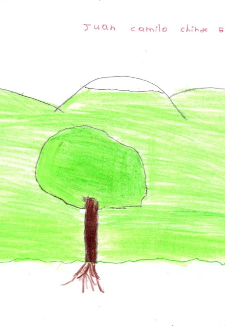 Juan Camilo - 10- Impulso verde