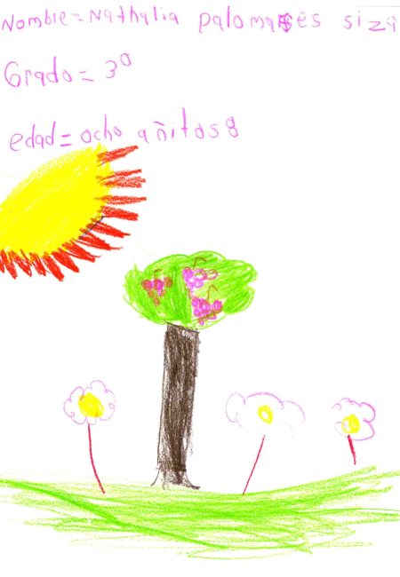 aldana-miala