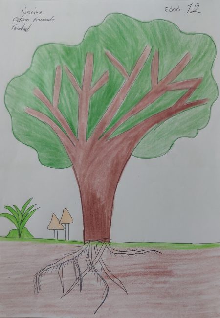 Miraflores-miala