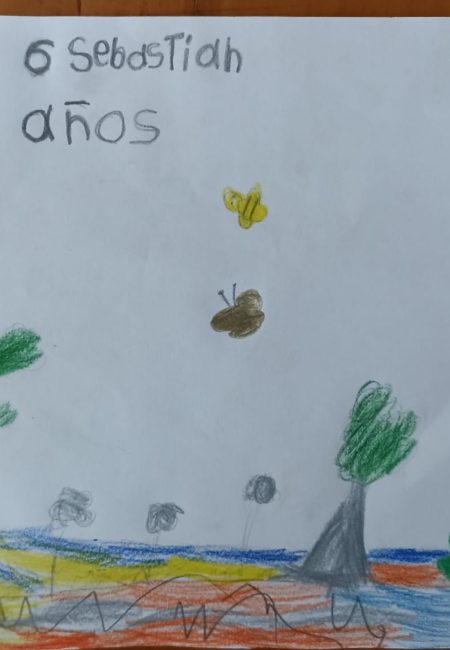 Los andes-Miala