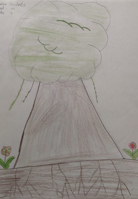 IE de Comercio Sede Niño Jesús de Praga-miala
