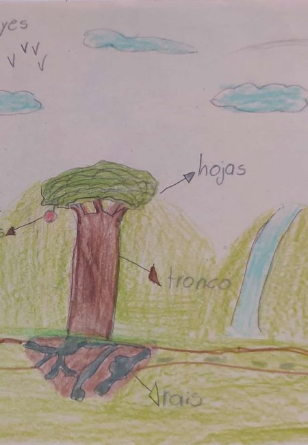 IE de Comercio Sede Niño Jesús de Praga-miala