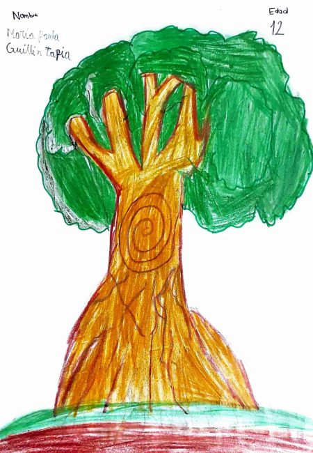 IETA JMH sede San Francisco-MIALA