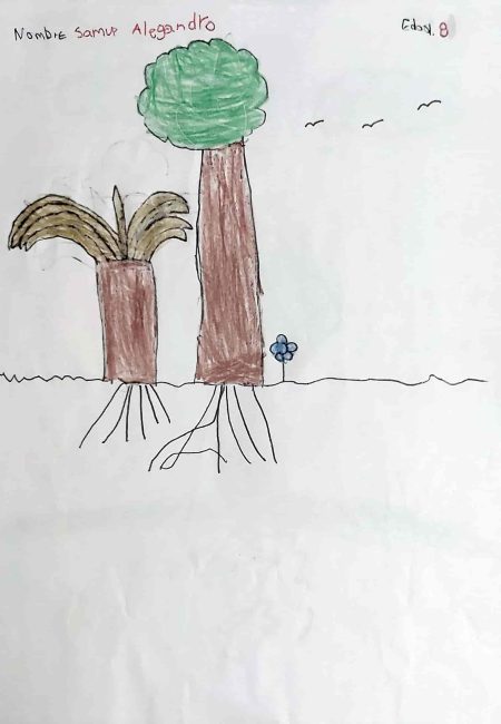 IETA JMH sede San Francisco-MIALA