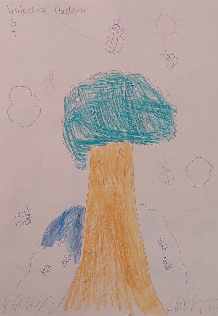 IE de Comercio Sede Niño Jesús de Praga-miala