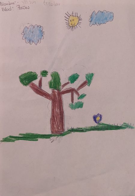 IE de Comercio Sede Niño Jesús de Praga-miala