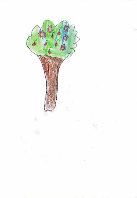 Centro pedagógico principito ipiales-Miala