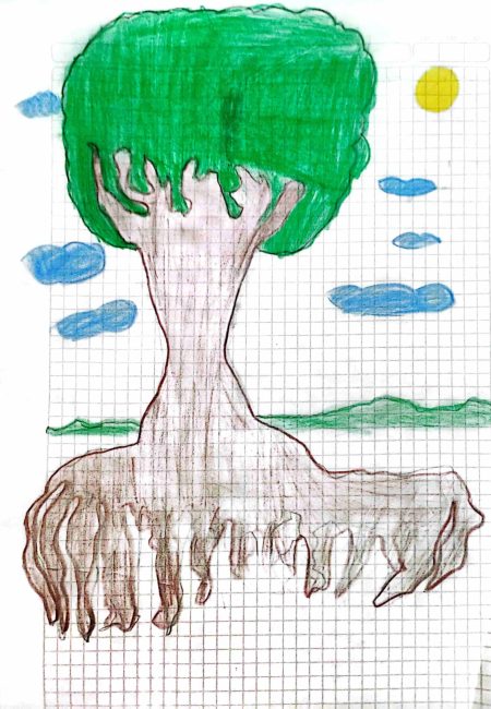 Institución educativa Sucre-Miala