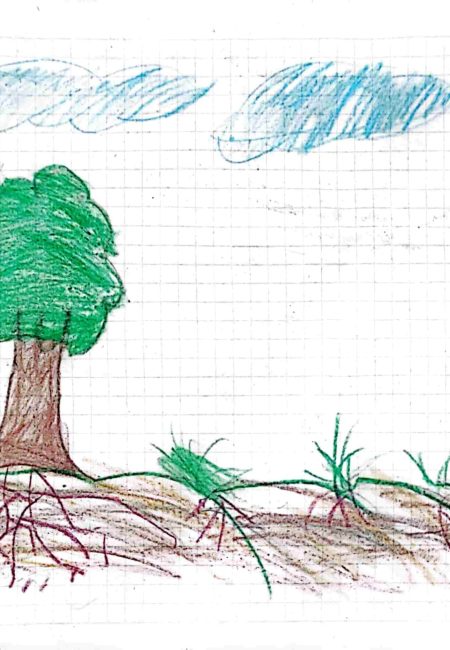 Institución educativa Sucre-Miala