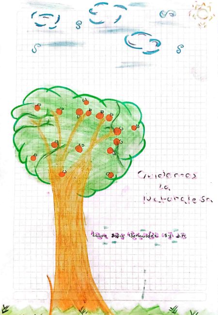 Institución educativa Sucre-Miala