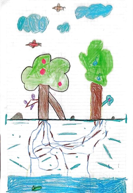 Centro pedagógico principito ipiales-Miala