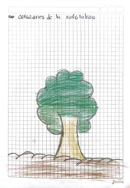 Institución educativa Sucre-Miala