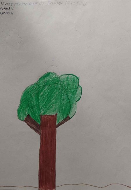 IE de Comercio Sede Niño Jesús de Praga-miala