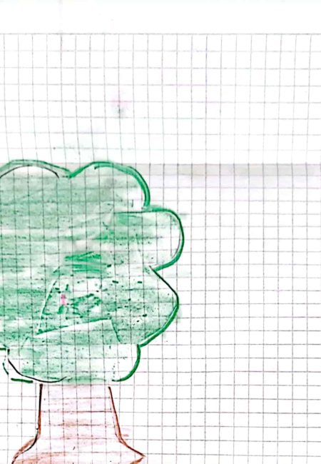 Institución educativa Sucre-Miala