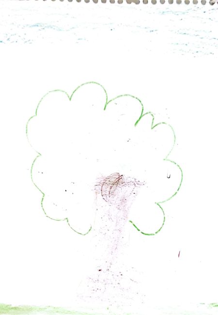 Institución educativa Sucre-Miala