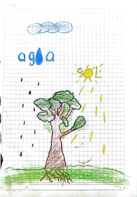 Institución educativa Sucre-Miala