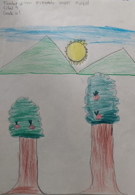 IE de Comercio Sede Niño Jesús de Praga-miala