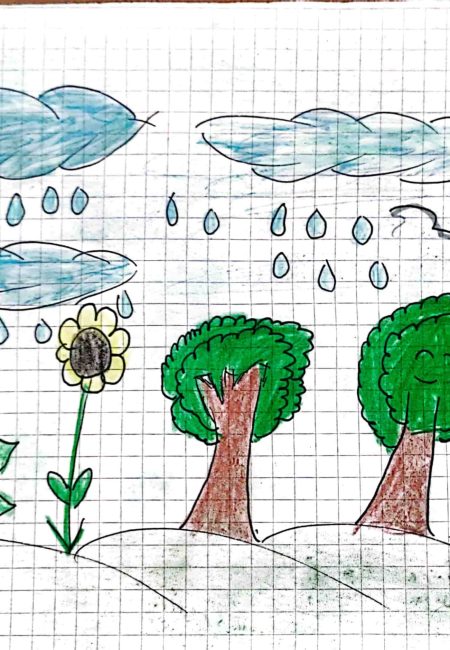 Institución educativa sucre-MIALA