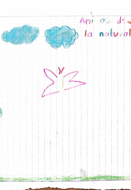 Institución educativa sucre-MIALA