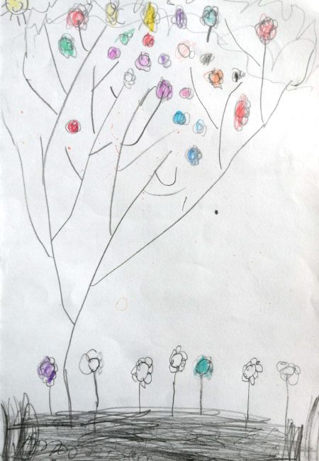 MIALA - Túquerres- I.E san francisco de asis sede perpetuo socorro