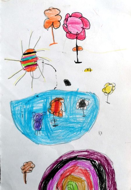 MIALA - Túquerres- I.E san francisco de asis sede perpetuo socorro