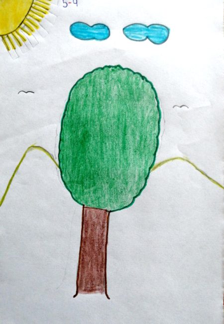 Andres Alejandra Pulsara Maya 11 años