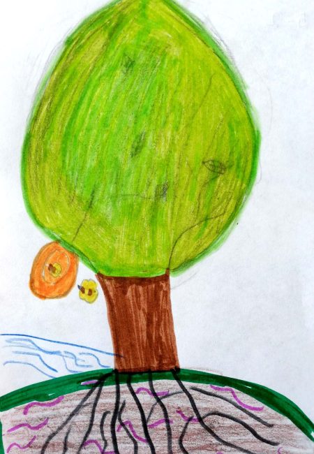Andres Alexander Cardenas Flores 10 años