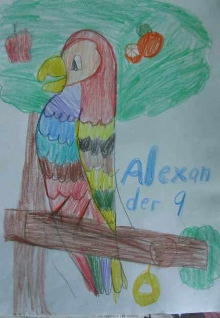Andres Alexander Edad 9 Años