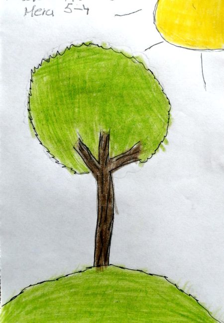 Andrés Mauricio Mera Arciniegas 11 años