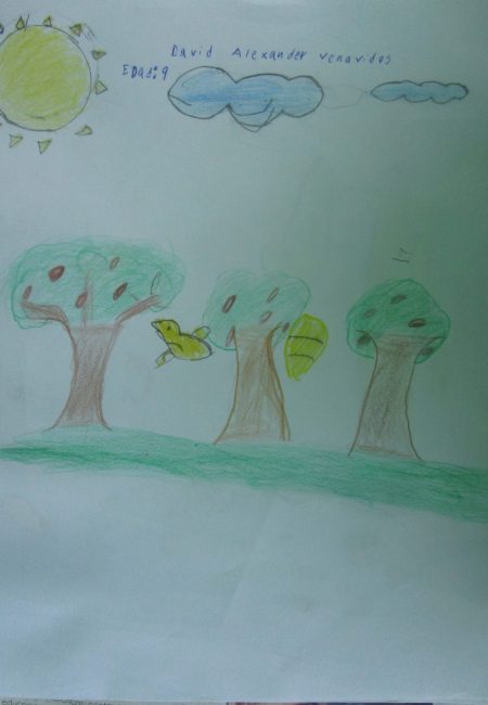 David Alexander Edad 9 Años