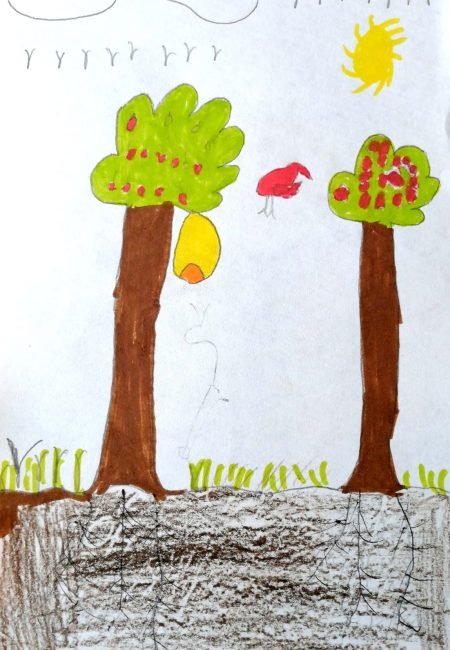Dylan Santiago Atapuma 11 años