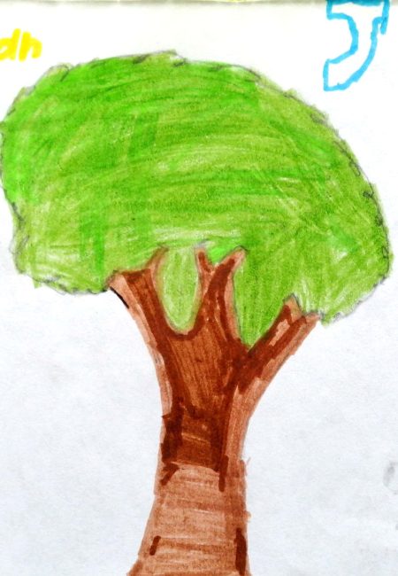 Jhon Sebastian Chaucanes Mora 11 años