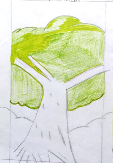 Luis Alexander Pérez Pinzon 10 años