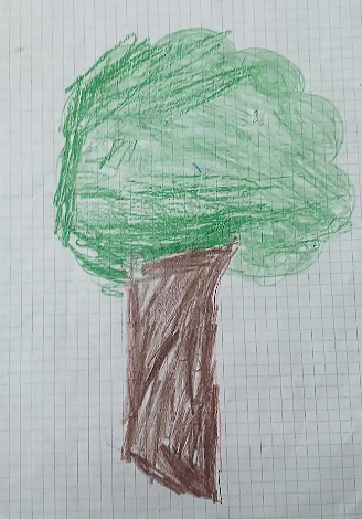 20_PINCHAO_PISTALA_JHORMAN_JAIR_1-2_J.M_INEDCI