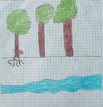 26_QUISTIAL_BAEZ_THOMAS_SANTIAGO_1-1_J.M_INEDCI[1]