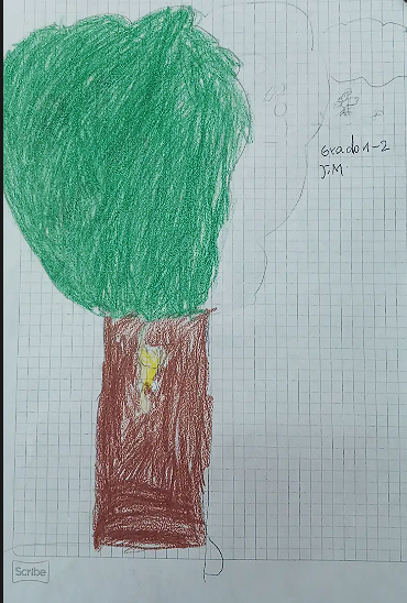 29_TULCANAZA_MENESES_SOFIA_SALOME_1-2_J.M_INEDCI
