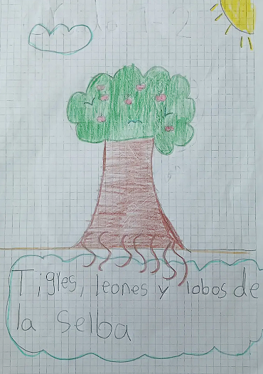 4_BENAVIDES_MEDECIS_DANNA_SALOME_1-2_J.M_INEDCI