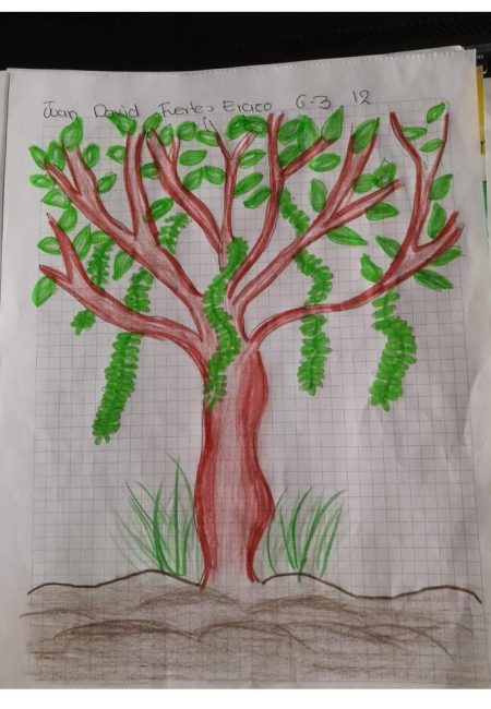 I. E. Nuestra Señora De Lourdes6-1 INEL_