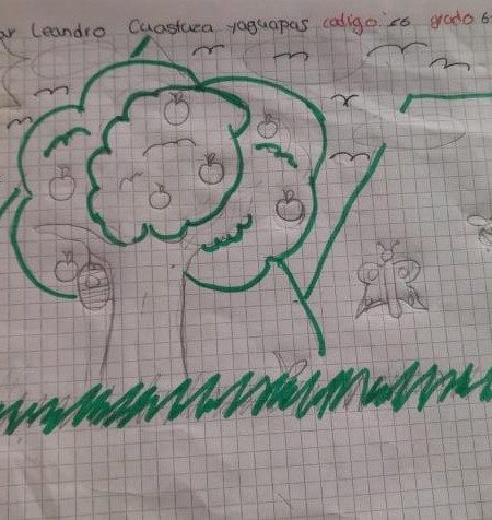 I. E. Nuestra Señora De Lourdes6-1 INEL_