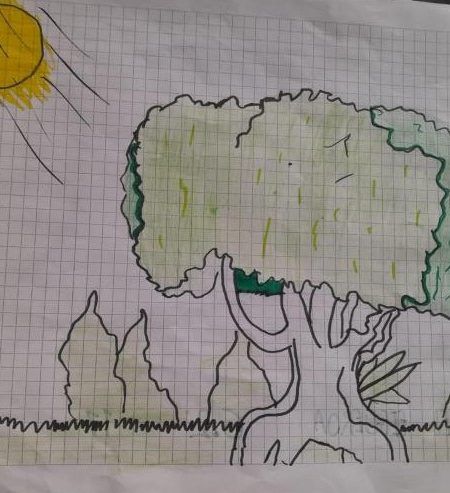 I. E. Nuestra Señora De Lourdes6-1 INEL_