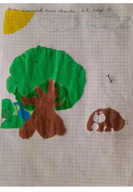 I. E. Nuestra Señora De Lourdes6-1 INEL_