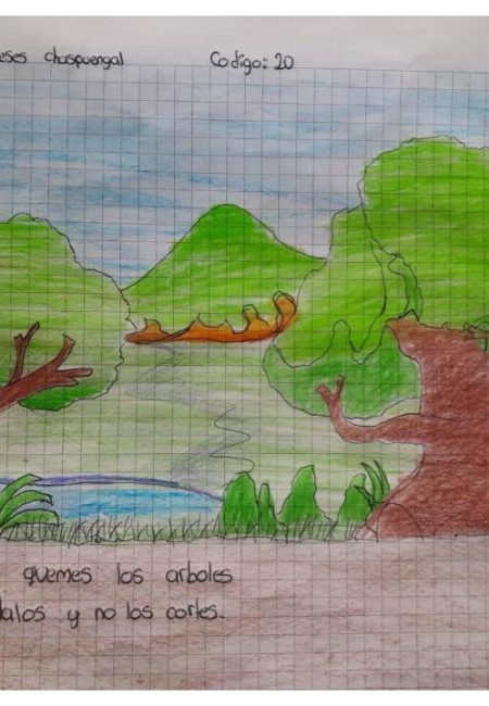 I. E. Nuestra Señora De Lourdes6-1 INEL_