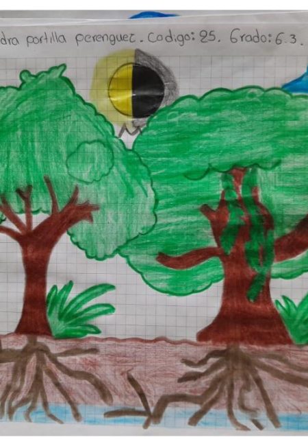I. E. Nuestra Señora De Lourdes6-1 INEL_