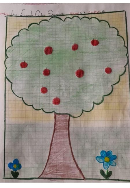 I. E. Nuestra Señora De Lourdes6-1 INEL_