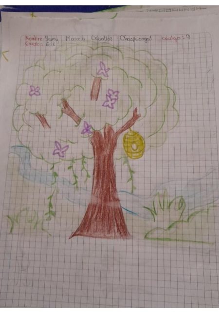 I. E. Nuestra Señora De Lourdes6-1 INEL_