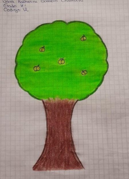 Institución Educativa Bajo Sinaí Grupo Séptimo