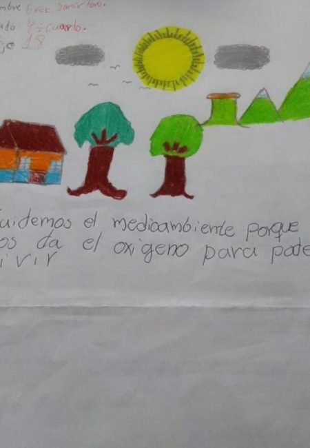 INSTITUCION EDUCATIVA BAJO SINAI