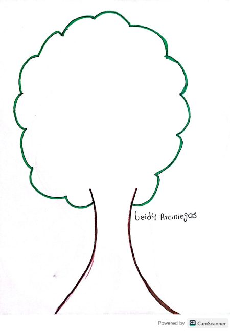 Colegio Agropecuario Segundo