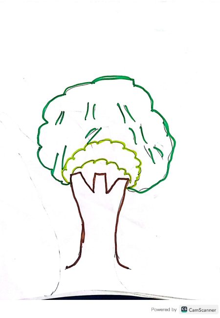 Colegio Agropecuario Segundo