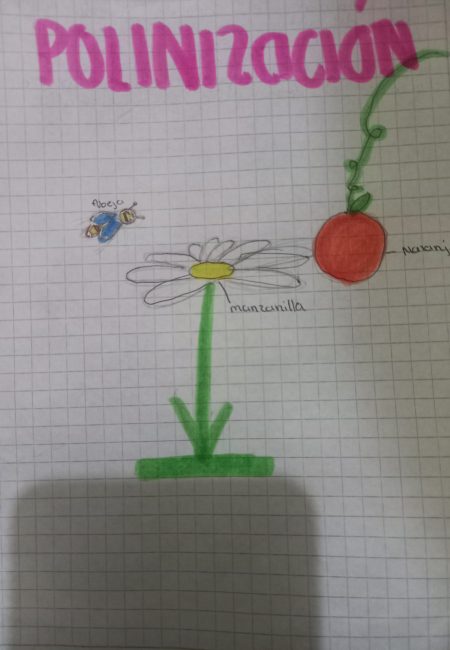 18 _ MALPUD DIAZ AILYN ESTEFANIA _ 9 AÑOS _ GRADO 4. _ 1j _ SUCREJMpg